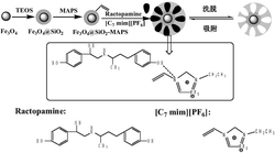 用于检测莱克多巴胺的磁性分子印迹聚离子液体及其制备方法和用途