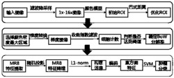 一种肿瘤病理图像自动快速分割方法