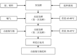 一种两步发酵生产功能微生物肥料的方法及应用