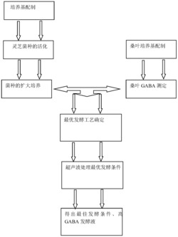 一种富集桑叶中GABA的方法