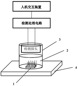 基于纳米线垂直阵列的流体粘度检测装置及检测方法