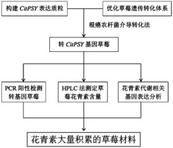 一种提高花青素含量的方法