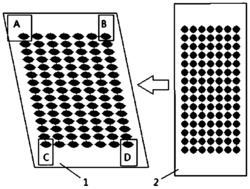 平面物体二维变形量的测量方法