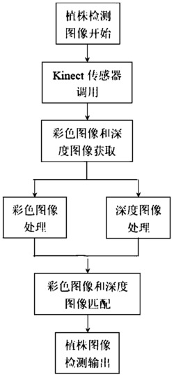 一种基于Kinect传感器的颜色深度匹配植株识别方法