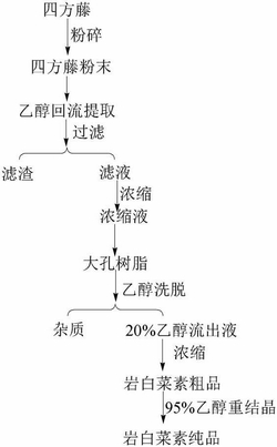 一种从四方藤中提取纯化岩白菜素的方法