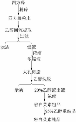 一种从四方藤中提取纯化岩白菜素的方法