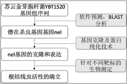 苏云金芽胞杆菌YBT1520中的杀线虫蛋白NEL的应用