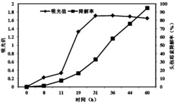 一株短小芽孢杆菌N2及其应用