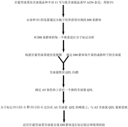 一种与甘蓝型油菜含油量QTL紧密连锁的分子标记