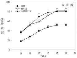 一种提高直播早稻低温胁迫下出苗率的种子处理方法