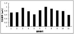 生产灵芝菌丝体的灵芝诱变菌株