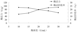 一种改性柚皮固定化糖化酶的方法