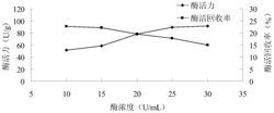 一种改性柚皮固定化糖化酶的方法