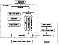 基于原位实时光谱在线监测蛋白质酶解过程的装置和方法