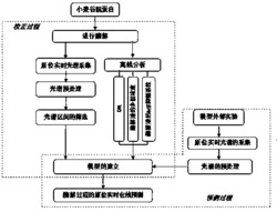 基于原位实时光谱在线监测蛋白质酶解过程的装置和方法