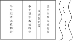 一种河岸带减污方法