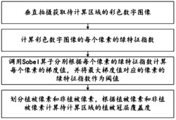 一种基于彩色数字图像植被冠层覆盖度计算方法及系统