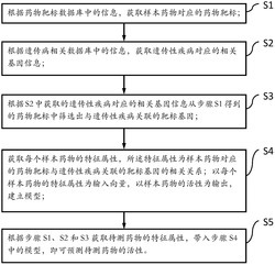 一种基于机器学习的药物活性预测方法