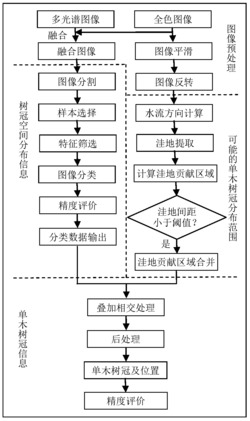 一种基于分类的高分辨率遥感图像单木树冠信息提取方法