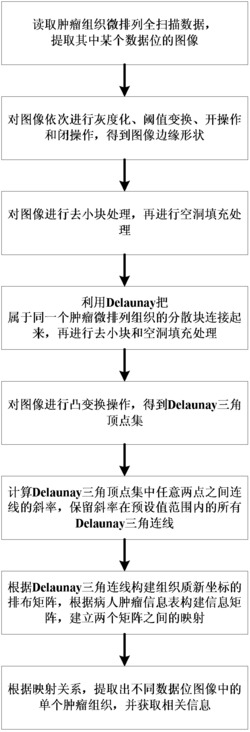 一种肿瘤组织微排列图像的自动分割方法