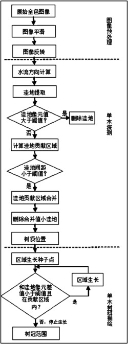 一种高分辨率遥感图像单木探测和树冠描绘方法