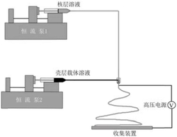 一种莽草酸核壳结构纳米制剂及其制备方法