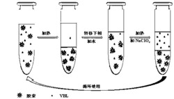 一种浊点萃取污水中荧光增白剂VBL的方法