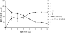 一株降解多环芳烃类有机污染物的泛菌