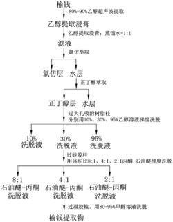 一种榆钱提取物在制备治疗神经保护药物方面的用途