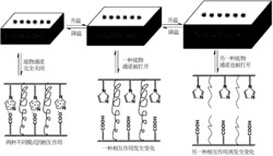 一种底物按次序催化的金属纳米粒子基催化剂