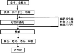 一种桑蛋白活性肽的制备方法