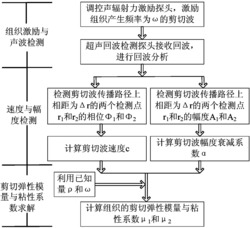 一种基于剪切波幅度和相位检测的组织粘弹性测量方法