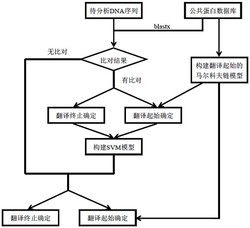 一种非模式生物转录组基因序列结构分析的方法