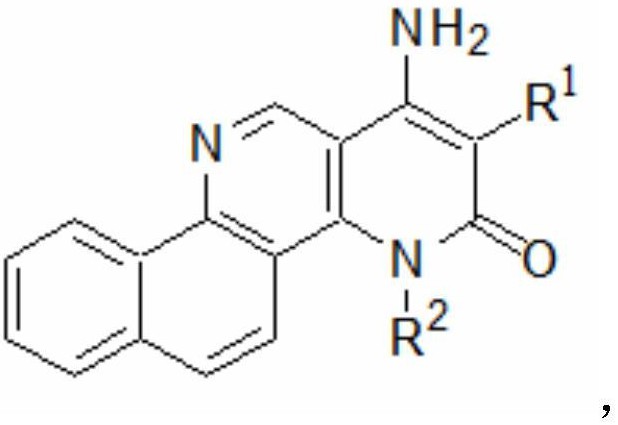 萘并[1，2-h] [1，6]萘啶-3(4H) -酮类化合物及其制备方法和应用