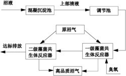 一种利用藻菌共生体同步净化沼液和原沼气的系统