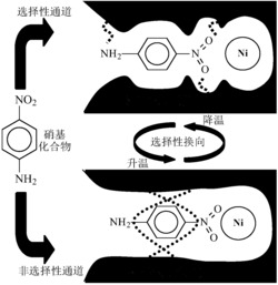 一种“选择性/非选择性”可调的Ni基催化剂的制备方法