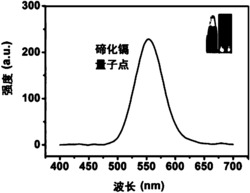 基于CdTe量子点对多种蛋白质进行同步检测的多通道传感器