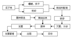 一种平菇培养基及平菇栽培方法