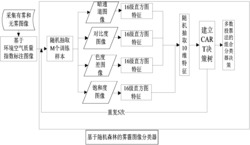 一种基于随机森林的雾霾图像分类方法