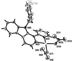 1-(2-吡啶)-9-(4-氟苄基)-β-咔啉的硝酸铜配合物及其合成方法和应用