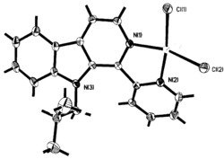 以1-(2-吡啶)-9-异丁基-β-咔啉为配体的氯化铜配合物及其合成方法和应用