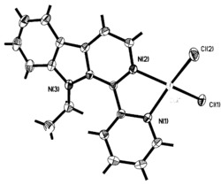 以1-(2-吡啶)-9-乙基-β-咔啉为配体的氯化铜配合物及其合成方法和应用