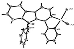 1-(2-吡啶)-9-(2-苯基乙基)-β-咔啉的氯化铜配合物及其合成方法和应用