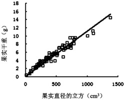 一种温室番茄库强的表征方法