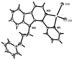 1-(2-吡啶)-9-(3-苯基丙基)-β-咔啉的氯化铜配合物及其合成方法和应用