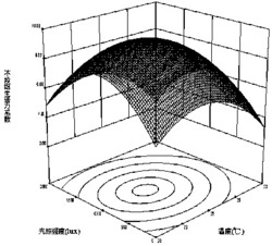 一种构建温度和光照强度对于乌苏里拟鲿仔鱼生活力影响模型的方法