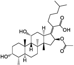 一种夫西地酸化学修饰物的制备及用途