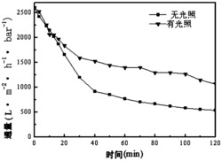 一种具有光催化性能的凹凸棒石-类石墨相氮化碳复合中空纤维微滤膜及其制备方法和应用