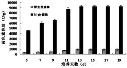 低产桔霉素高产红曲黄色素的基因重组紫色红曲霉M-piy菌株及其制备方法和用途