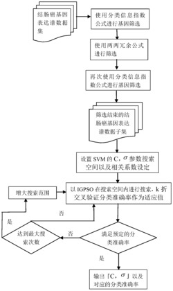 一种基于确定性粒子群优化和支持向量机的肿瘤识别方法